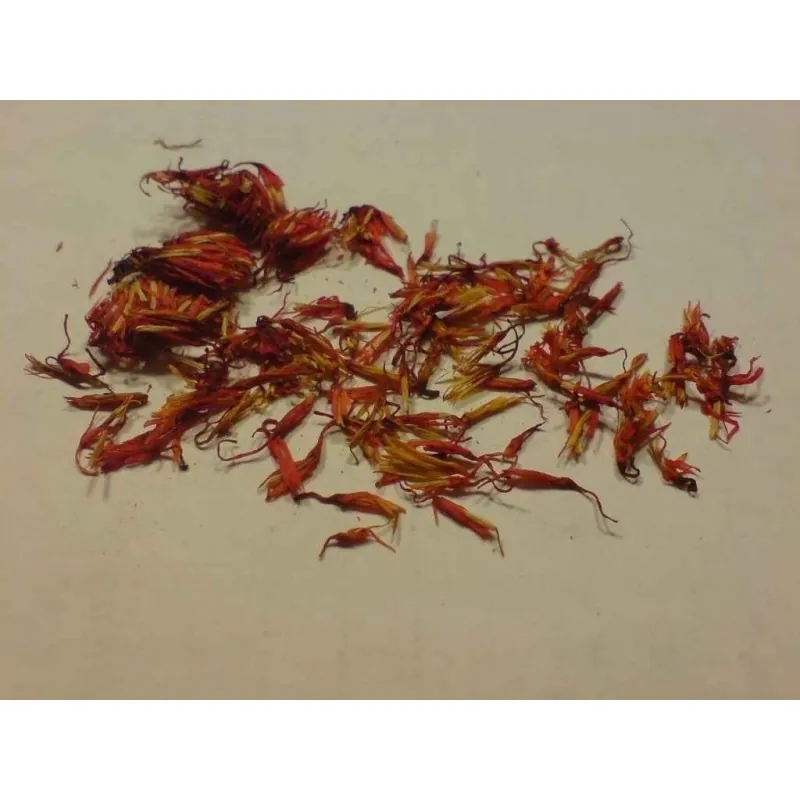 Safflower Seeds (Carthamus tinctorius)