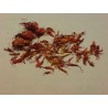 Šafranika Seme (Carthamus tinctorius) | 1,95 €