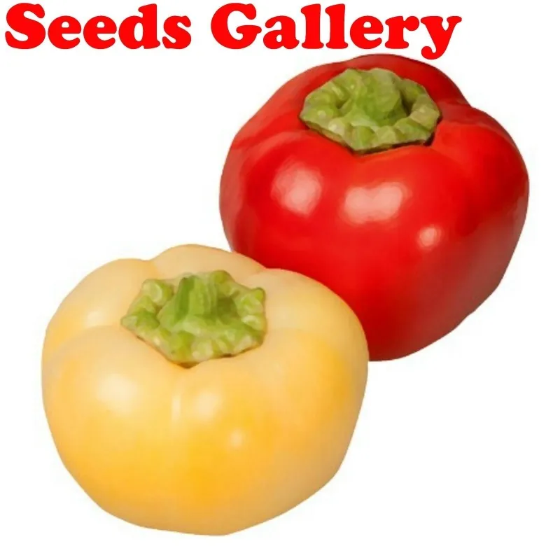 Sweet Pepper Seeds ''Novosadjanka''