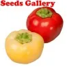 Sweet Pepper Seeds ''Novosadjanka''