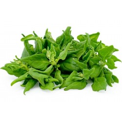 Price: €1.85 - Σπόροι Σπανάκι Νέας Ζηλανδίας (Tetragonia tetragonioides) - 