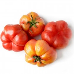 Montserrat Tomato Seeds 1.95 - 2