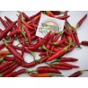 Price: €1.95 - Semillas de chile Serbio Mini VEZANKA - Seeds Gallery