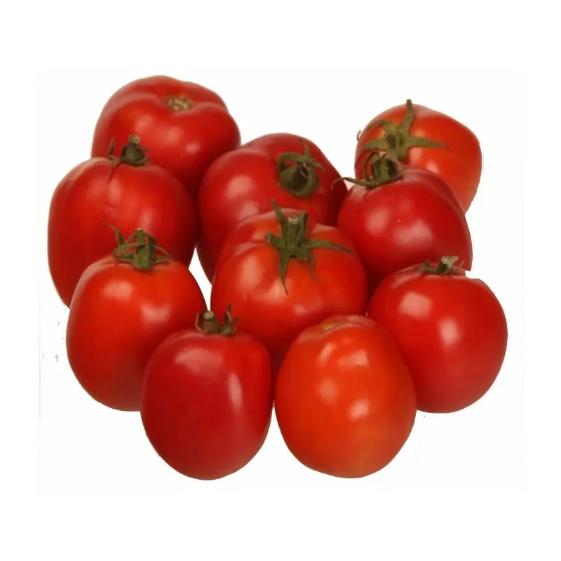Semi di Pomodoro Alparac - Varietà dalla Serbia