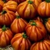 Charlie Chaplin tomato seeds