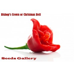 Price: €2.25 - Frön Chili Bishops Crown - Seeds Gallery