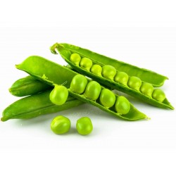 Price: €1.15 - Seme Graska Cudo Amerike - 