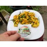 Graines De Piment Yellow Pointy
