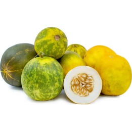 DOSAKAI Indian Cucumber Seeds - 1.755