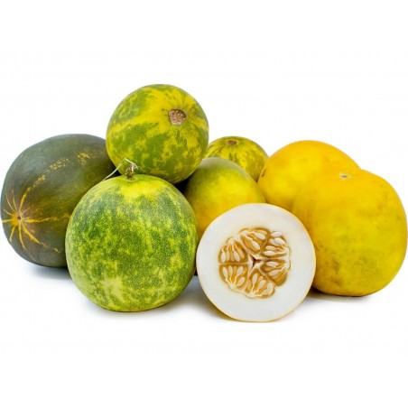 Price: €1.95 - Graines de concombre Indien DOSAKAI -