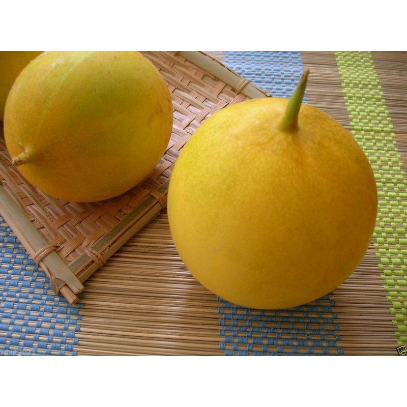 Price: €1.95 - Sementes De Pepino Indiano DOSAKAI - 
