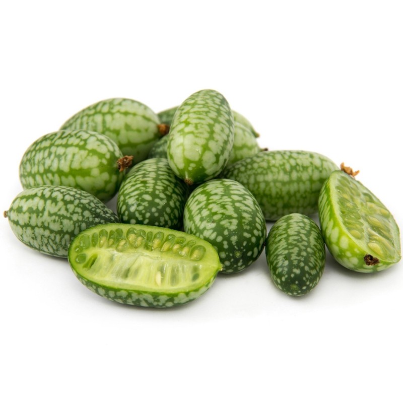 Djungelgurka Frön (Melothria scabra)