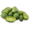 Graines de Cucamelon - Mini pastèque