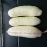 Cucumber Seeds White Wonder