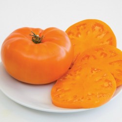 Orange Beefsteak Heirloom Tomato Organic Seeds 2.15 - 3