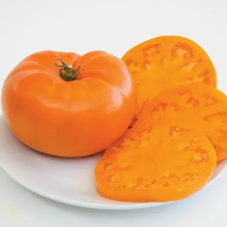 Orange Beefsteak Heirloom Tomato Organic Seeds