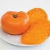 Orange Tomate Samen Beefsteak Alte Sorte