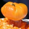 Orange Beefsteak Heirloom Tomato Organic Seeds