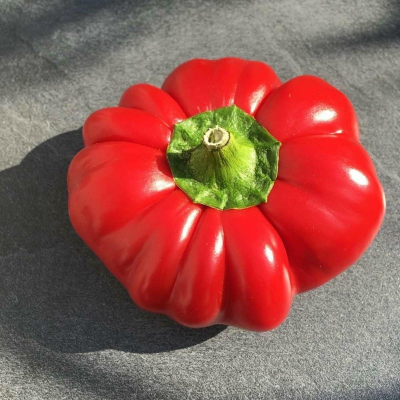 Price: €1.55 - Söt paprika Frön Rotund - 