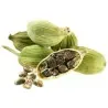 Green Cardamom Seeds (Elettaria cardamomum)