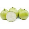 Tinda Seeds, Apple Gourd (Praecitrullus fistulosus)