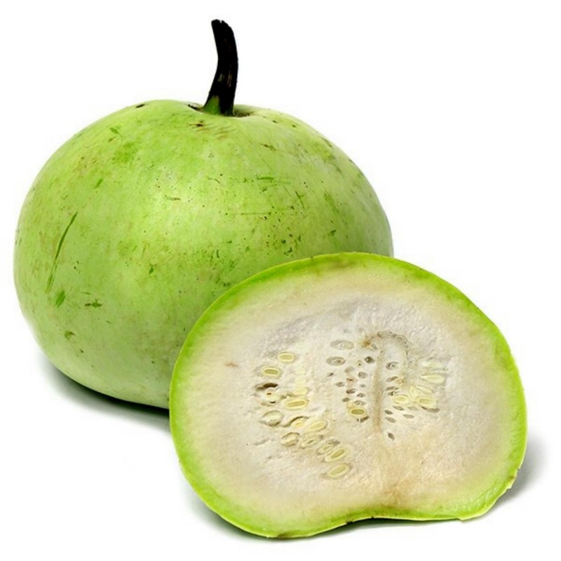 Tinda Seeds, Apple Gourd (Praecitrullus fistulosus) - Cena: €3.00
