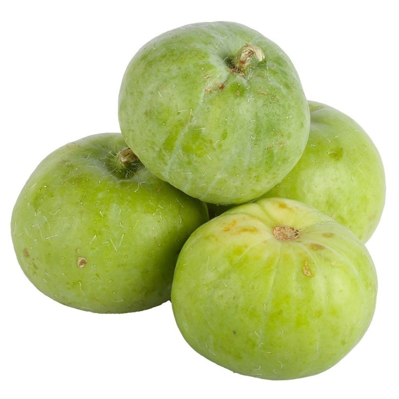 Tinda Kürbis Samen, Apfelkürbis (Praecitrullus fistulosus)