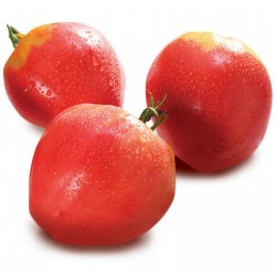 Price: €1.65 - Sementes de Tomate VAL Variedade de Eslovênia - 