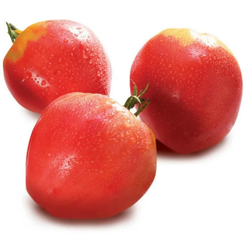 Tomat Frön VAL Variety från Slovenien