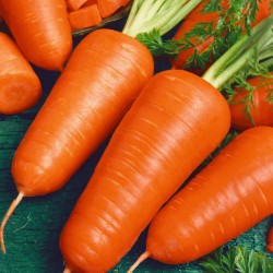 Red Cored Chantenay carrot seeds 3 - 1