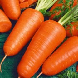 Price: €1.95 - Semi di carota Chantenay - 