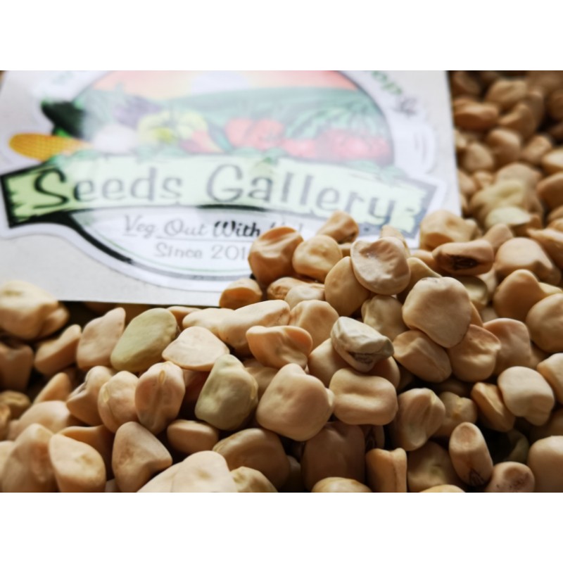Graines Gesse commune, Pois carré, Lentille d'Espagne | 1,55 €