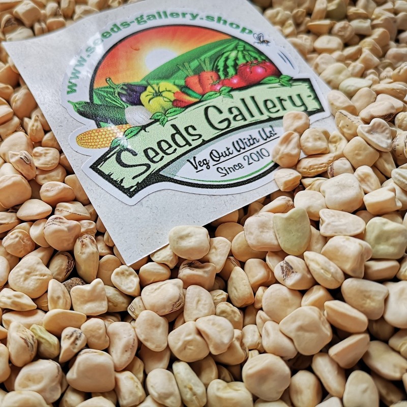Graines Gesse commune, Pois carré, Lentille d'Espagne | 1,55 €