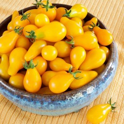 Yellow Pear, Gelbe Birnchen Tomaten Samen 1.95 - 4