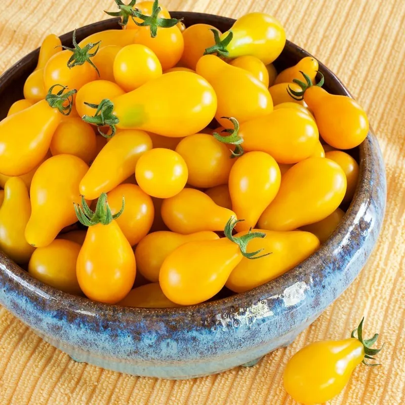 Yellow Pear Tomato Seeds