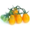 Semillas de Tomate Pera Amarilla - Yellow Pear