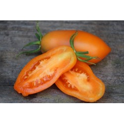 Orange Banana Tomato Seeds 1.85 - 3