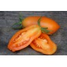 Price: €1.85 - Semi di Pomodoro Arancione Banana - Seeds Gallery