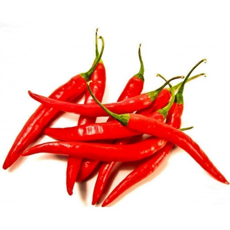 Price: €1.85 - Sementes de Pimenta Cayenne Long Slim - Cayenne longo e fino - Unbranded