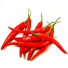 Price: €1.85 - Sementes de Pimenta Cayenne Long Slim - Cayenne longo e fino - Unbranded