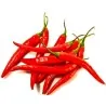 Σπόροι πιπεριά Cayenne Long Slim