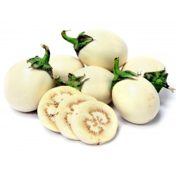 Semillas de Berenjena Planta De Huevo (Solanum Molengina) 1.85 - 1