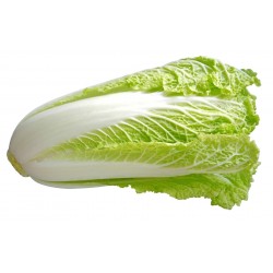 Price: €1.55 - Sementes De Couve Chinesa (Brassica pekinensis) - 