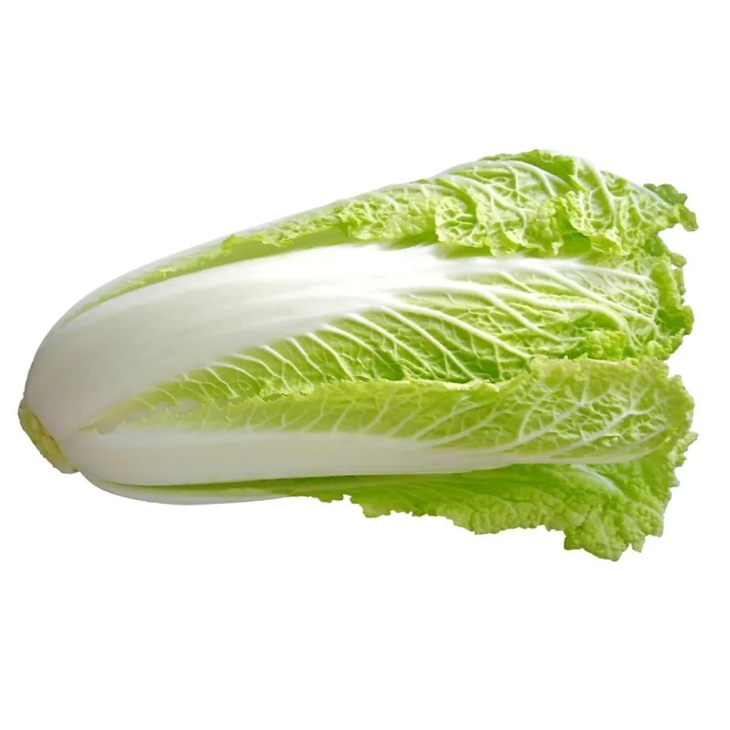 Chinese Cabbage Seeds Michihilli