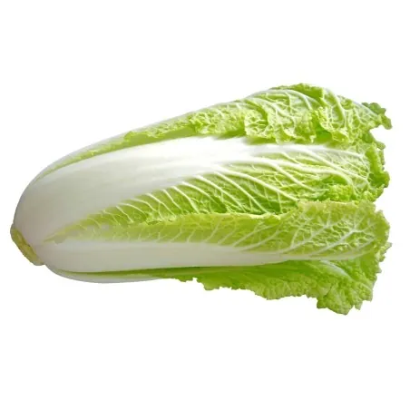 Chinese Cabbage Seeds Michihilli