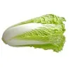 Chinese Cabbage Seeds Michihilli