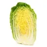 Kinakål Frön (Brassica pekinensis)