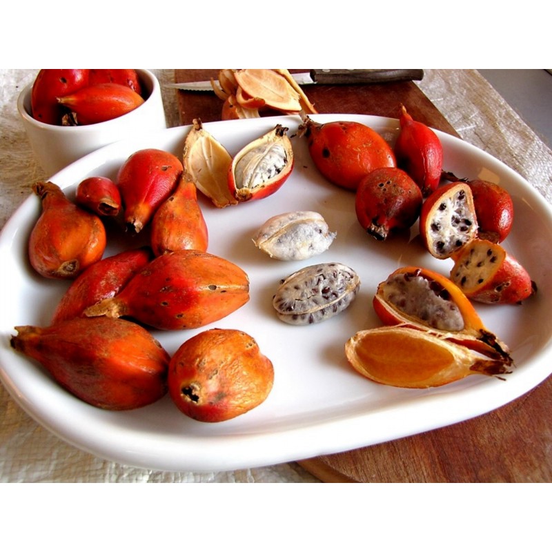 Price: €3.45 - Jinguenga, Nebeski Plod Seme (Aframomum alboviolaceum) - 