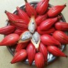 Price: €3.45 - Jinguenga, Nebeski Plod Seme (Aframomum alboviolaceum) - 
