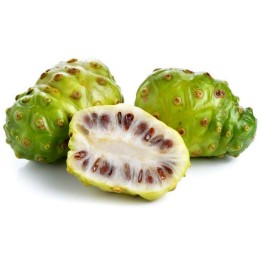 Noni Samen (Morinda citrifolia, Rubiaceae) - 410.513513